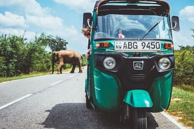 Sigiriya and Dambulla Private Day Tour by Tuk-Tuk or Car - Climbing Sigiriya Rock and seeing the old fortress