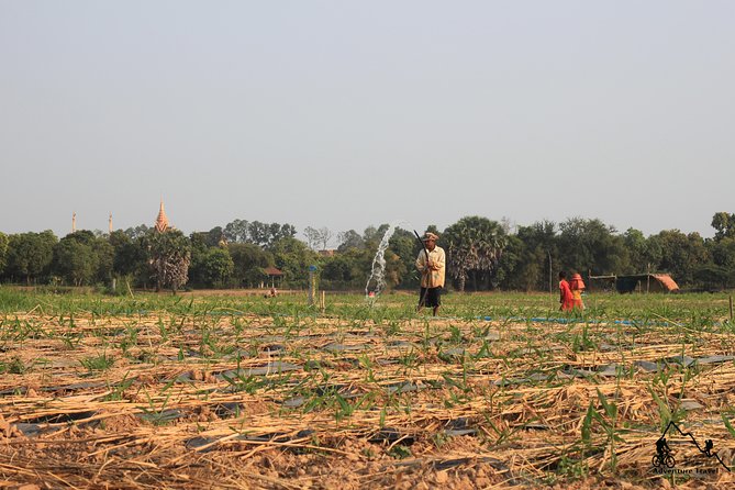 Silk Island & countryside of Phnom Penh by Tuk Tuk - Why Silk Island makes a smart half-day escape