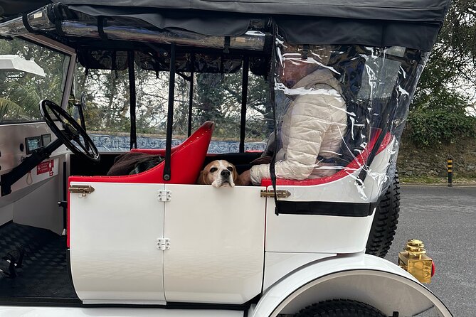 Sintra Tour by Electric Tuk Tuk - What the guide adds at each stop