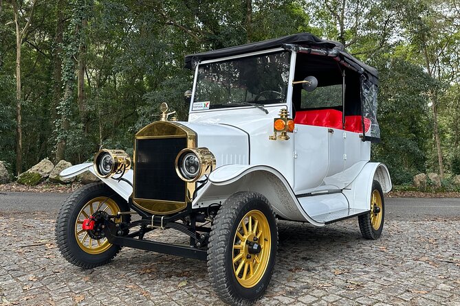 Sintra Tour by Electric Tuk Tuk - Who will enjoy this Sintra tour most