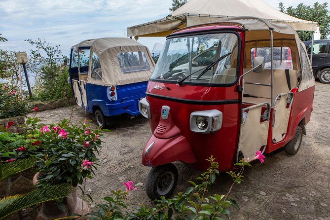 Sorrento Farm by Tuk Tuk: Cheese, Limoncello & Hands-On Pizza - What the $211.02 price includes