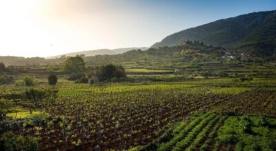 Stari Grad: Private Tuk-Tuk tour with Wine tasting