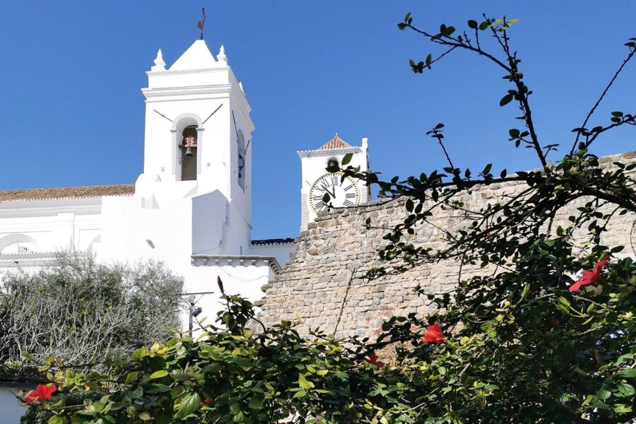 Tavira Total Tuk Tuk Tour: Tavira Tour & Tuna Museum Visit - What your guide adds to the ride