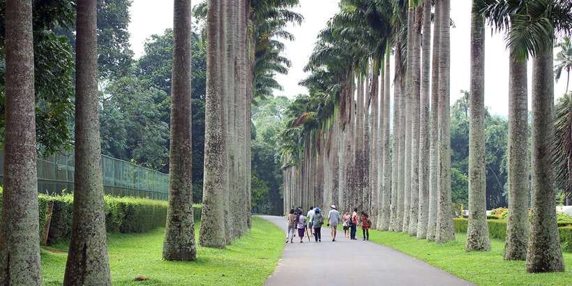 Three Temples Loop In Kandy Day Tour By Tuk Tuk - Gadaladeniya and Lankathilaka: Two Different Temple Visits