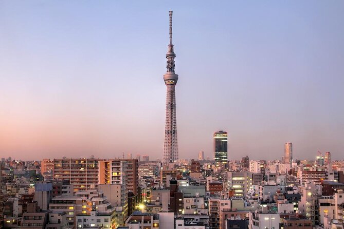 Tokyo Asakusa Rickshaw Tour - Key points to know before you book