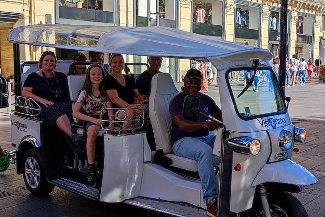 Toulouse Tour in Electric Tuk Tuk - The final monuments: Niel Palace and Saint-Etienne