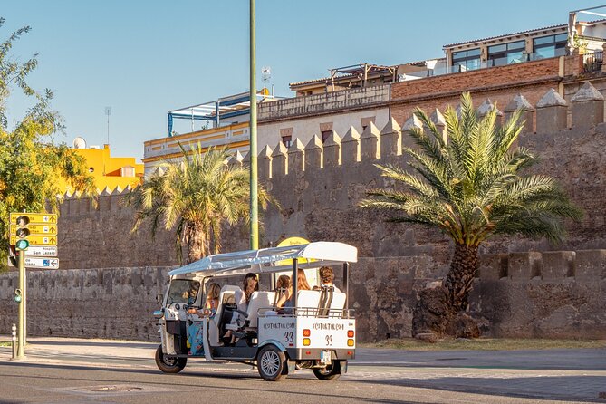 Tour Welcome Seville with Local Guide in Eco Tuk Tuk Private - Why a Tuk Tuk Works Well in Seville