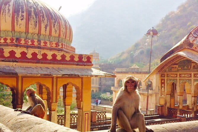 Travel Through the Streets of Jaipur by Tuktuk with a Local - Jaipur from the back of a tuk-tuk