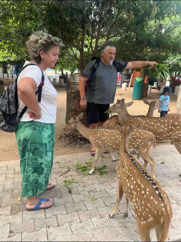 Trincomalee: Tuk-Tuk city tour with a guide - Why a tuk-tuk makes sense in Trincomalee