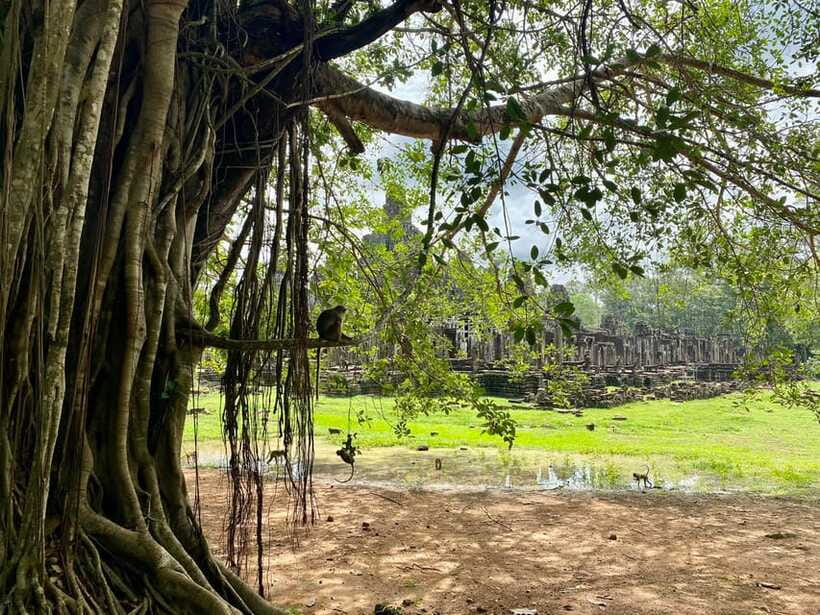 Trusty Tuk Tuk - What to bring for a smoother temple day