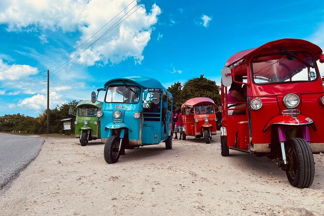 Tuk-Tuk Adventures Rainforest and Beach Hopping Tour - Fig Tree Drive and Antigua’s greener interior