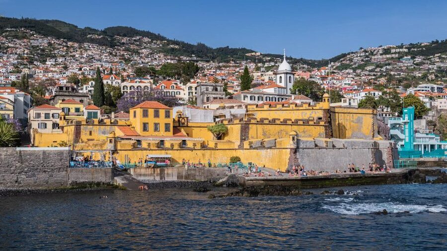 Tuk Tuk Funchal City - Madeira Island - Climbing toward São João Batista of Pico