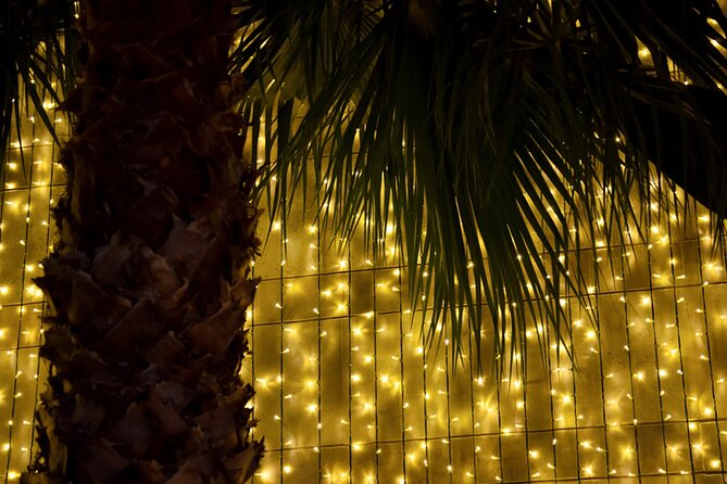 Tuk Tuk Funchal Magic Christmas Lights - Praia da Barreirinha and the final ocean stop