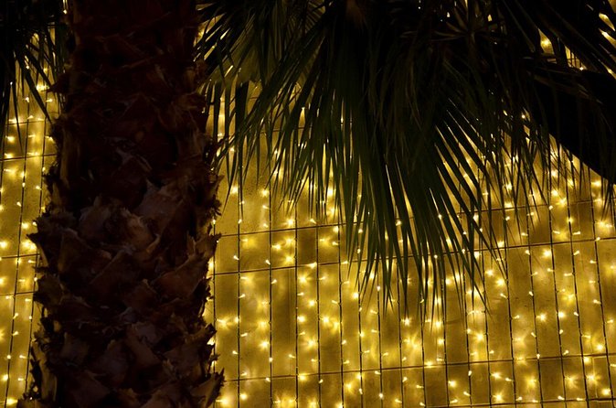 Tuk Tuk Funchal Magic Christmas Lights - Who will get the most from this evening ride