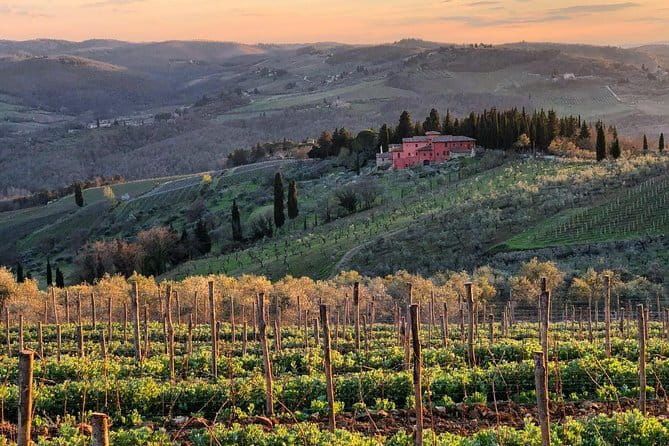 Tuk tuk in Chianti - Azienda Agricola Altiero: the main event