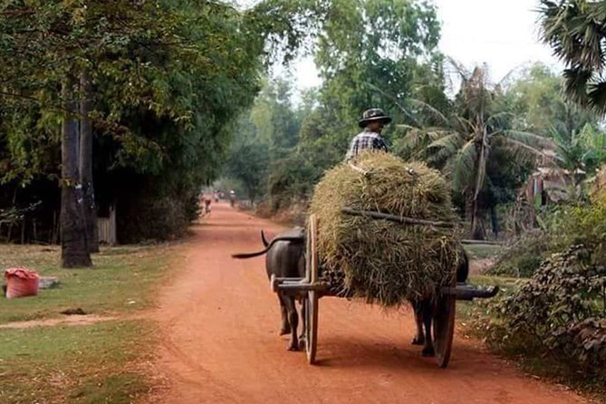 Tuk Tuk Journey: Exploring Rural Life and Silk Farm Craftsmanship - Why This Half-Day Outing Is Different