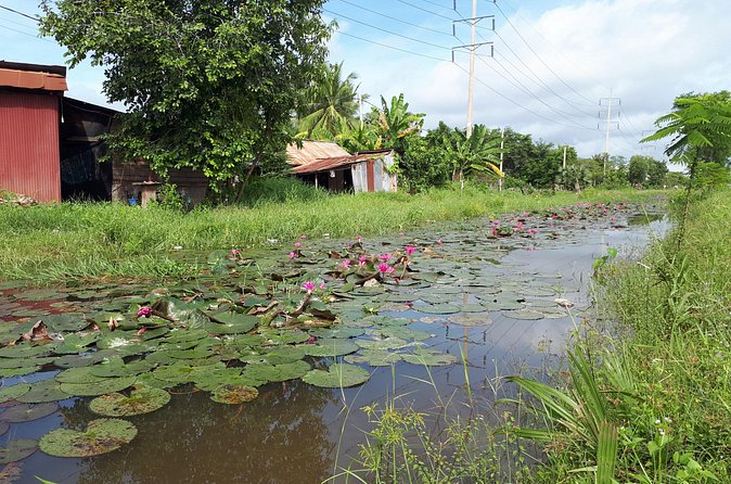 Tuk Tuk Journey: Exploring Rural Life and Silk Farm Craftsmanship - What the Quiet Pace Adds