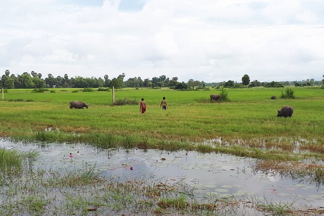 Tuk Tuk Journey: Exploring Rural Life and Silk Farm Craftsmanship - Practical Tips Before You Go