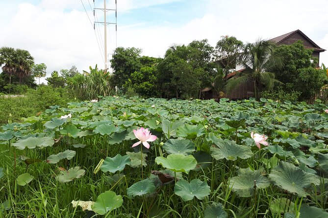 Tuk Tuk Journey: Exploring Rural Life and Silk Farm Craftsmanship - Should You Book This Siem Reap Silk Farm Tour?