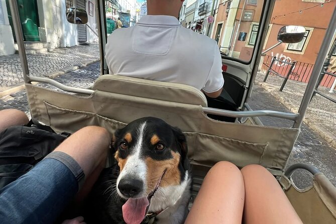 Tuk-Tuk Lisbon Tour 1 - 3hours - São Pedro de Alcântara and Santa Justa