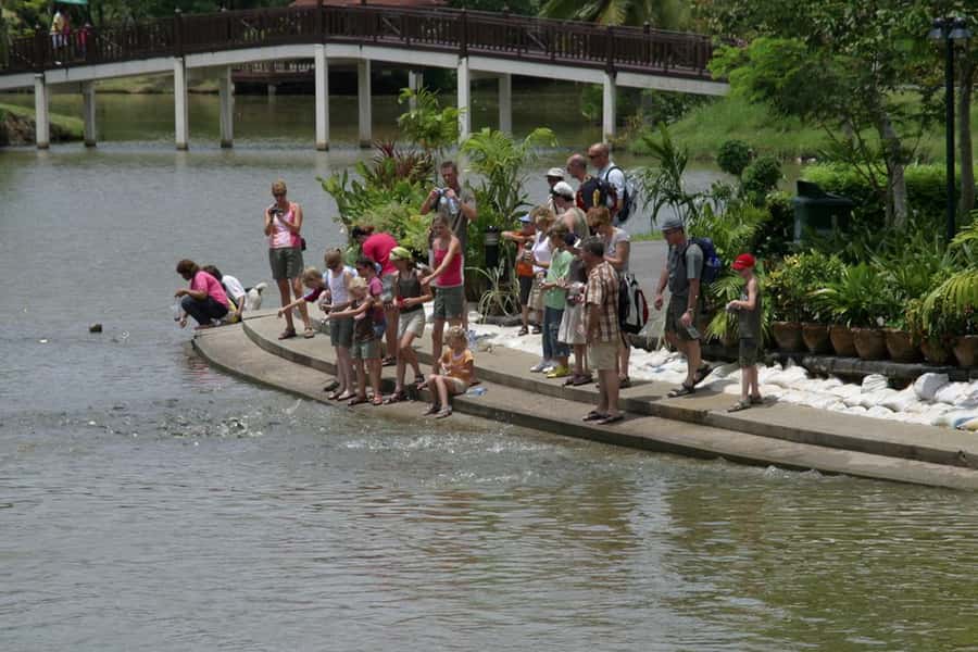 Tuk-Tuk, Longtail-boat and Rickshaw Bangkok jungle Tour - Sri Nakhon Khuean Khan Park supplies the quietest hour