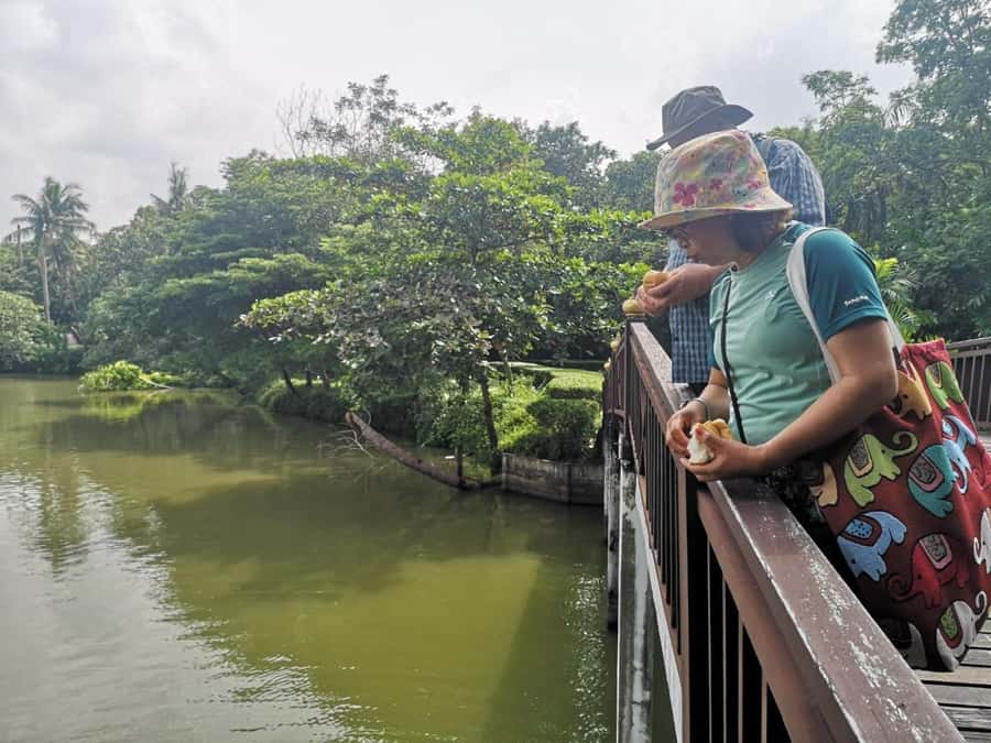 Tuk-Tuk, Longtail-boat and Rickshaw Bangkok jungle Tour - Temple, Muay Thai, and the weekend market add local texture
