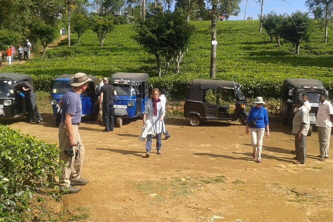 Tuk Tuk safari and Picnic in The Tea Plantation from Ella,Haputale & Bandarawela - Key points to know before booking