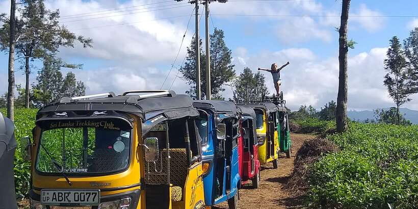 Tuk-Tuk Safari Liptons seat,Tea Fields Hike,TeaFactory Tour - Should you book the tuk-tuk tea safari?