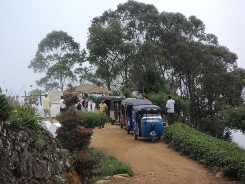 Tuk-Tuk Safari Liptons seat,Tea Fields Hike,TeaFactory Tour - What the guide adds to the day