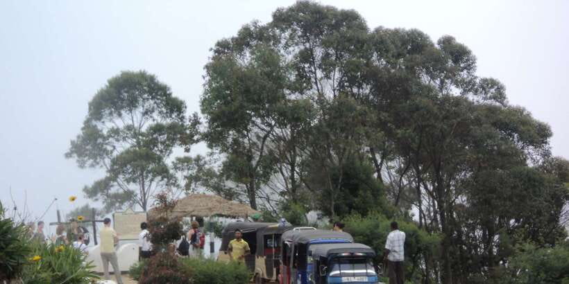 Tuk-Tuk Safari Liptons seat,Tea Fields Hike,TeaFactory Tour - Who will enjoy this day most