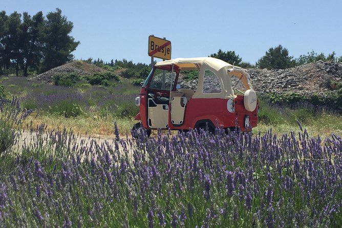 Tuk Tuk Sightseeing Tour of Hvar - Key points to know before booking