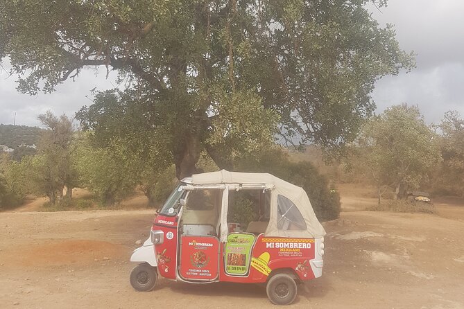 Tuk tuk tour- the best way to see coast and country side - What the private format is worth