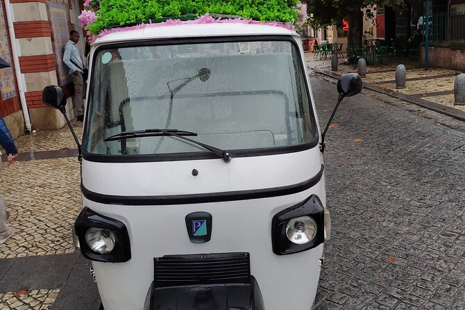 Tuk Tuk Transfer With Sintra Pena Ticket From Meeting Point - Entering the Park and National Palace of Pena