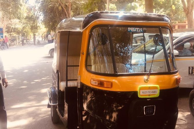 Udaipur Full Day Sightseeing Tour By Tuk Tuk - City Palace deserves your longest attention