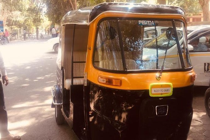 Udaipur Half Day City Tour by Tuk Tuk - Why a tuk tuk works well in Udaipur