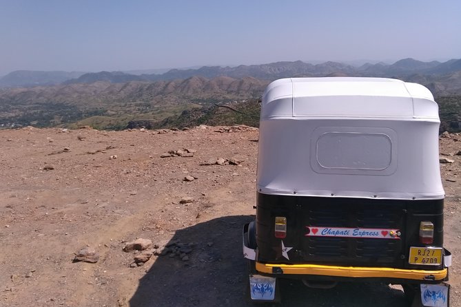 Udaipur sightseeing by tuk tuk or car - Why a private tuk tuk works well in Udaipur