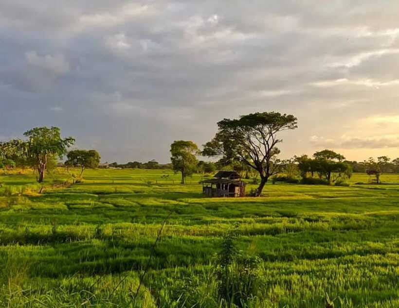Unseen Sigiriya: Village & Rock Viewpoints by Tuk Tuk - What the 2.5-hour schedule feels like