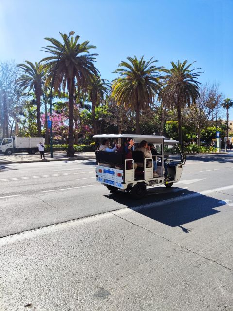 Valencia: 2-hour City Highlights Guided Tour by Tuk Tuk - The City of Arts and Sciences