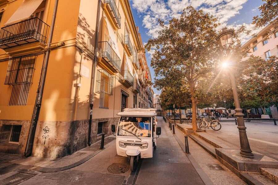 Valencia: 2-hour City Highlights Guided Tour by Tuk Tuk - Starting near Torres de Serranos