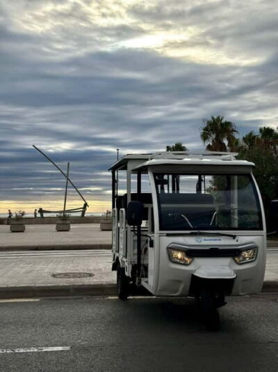 Full 2-Hour Tuk Tuk Tour