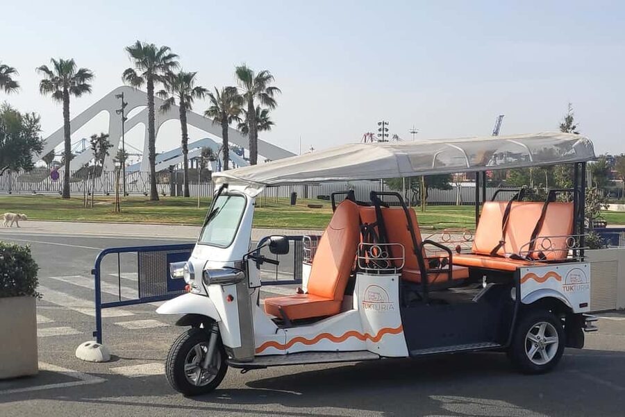 Valencia: Tuk Tuk City Tour - Booking Advice Before You Go