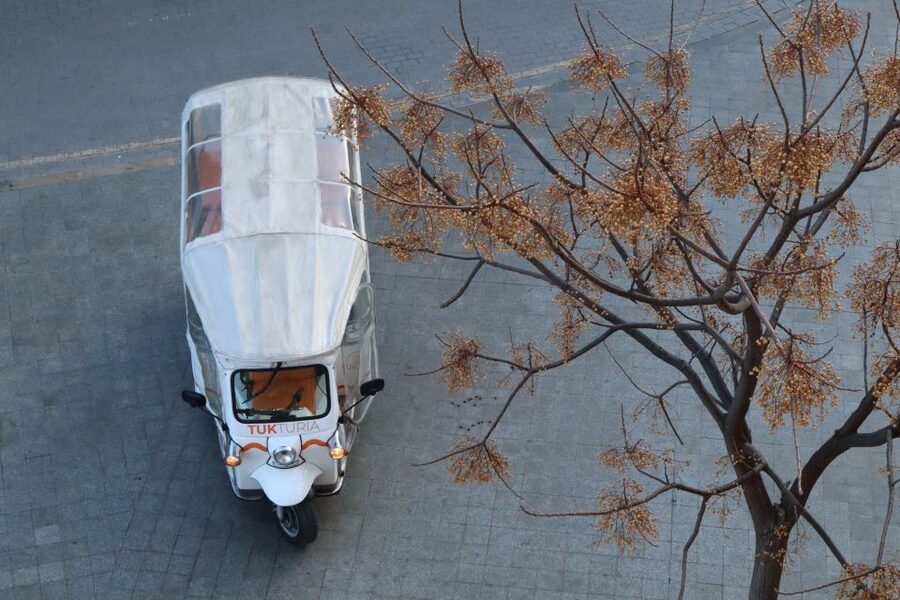Valencia: Tuk Tuk Historical Tour - How to get the most from the ride