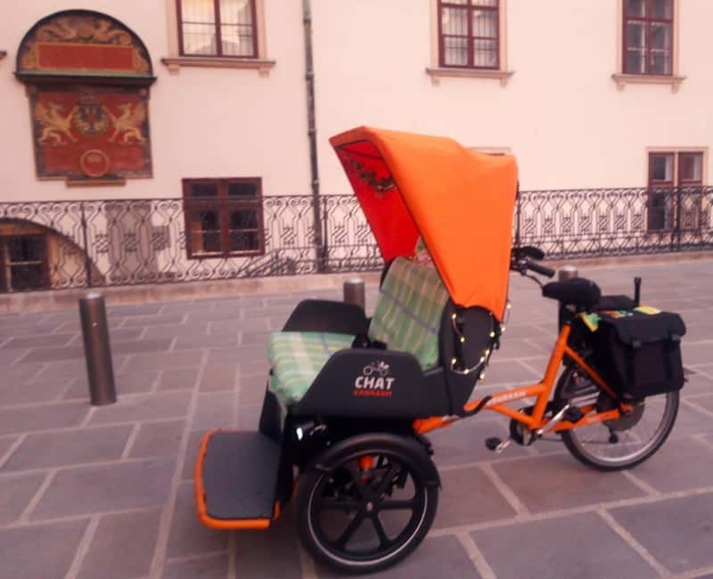 Vienna: Tour with locals in RAXI electric rickshaw - The ride itself: quiet, open, and close to the street