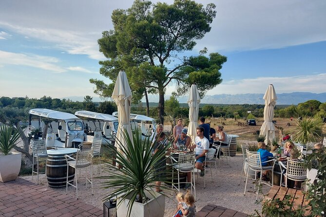 Zadar: City and Wine Tour in Zadar with Eco Tuk Tuk - The one-hour finish at Degarra Winery